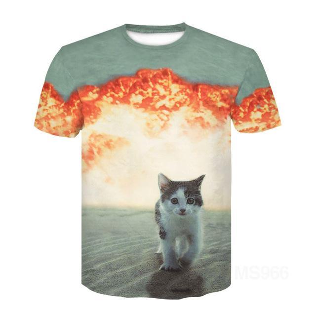 Cat Ragdoll Short Sleeve T -Shirt Half Sleeve 3d Printed T -Shirt Tops Men Women Kids Pet T -Shirt Asian Size 6xl